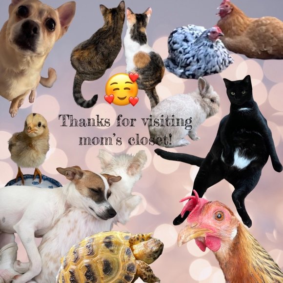 ๐๏ธ Hawaii to Your Door ๐๏ธ - Picture 1 of 1